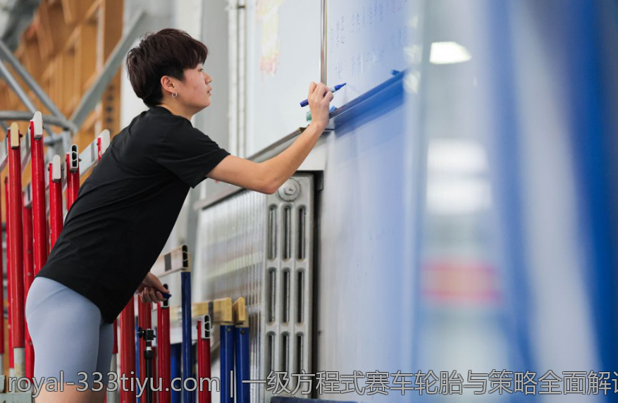 一级方程式赛车轮胎与策略全面解读